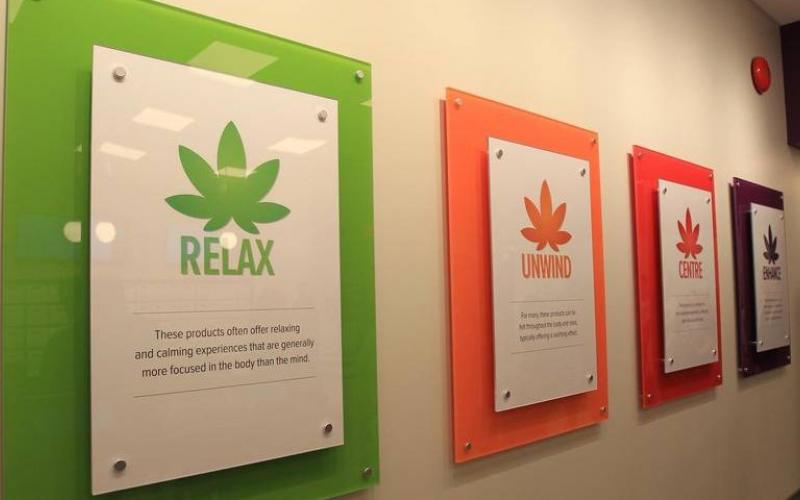 Cannabis Day: Tasteful State Consumption and ‘Enjoying Your Experience’ at the NSLC